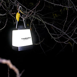 Portable COB Lantern/Flashlight